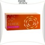 IQOS TEREA AMBER KAZAKHSTAN | BEST IN DUBAI UAE