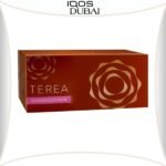 IQOS TEREA Bronze KAZAKHSTAN | BEST IN DUBAI UAE